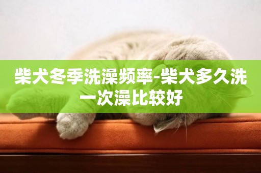 柴犬冬季洗澡频率-柴犬多久洗一次澡比较好